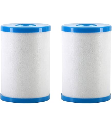 Amazon.com: Genuine Multipure CB6 Replacement Filter : Tools